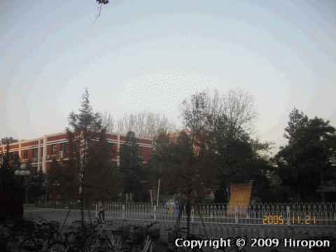 北京語言大学 35